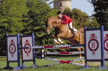  Haras Nationaux - Un Ami du Houley